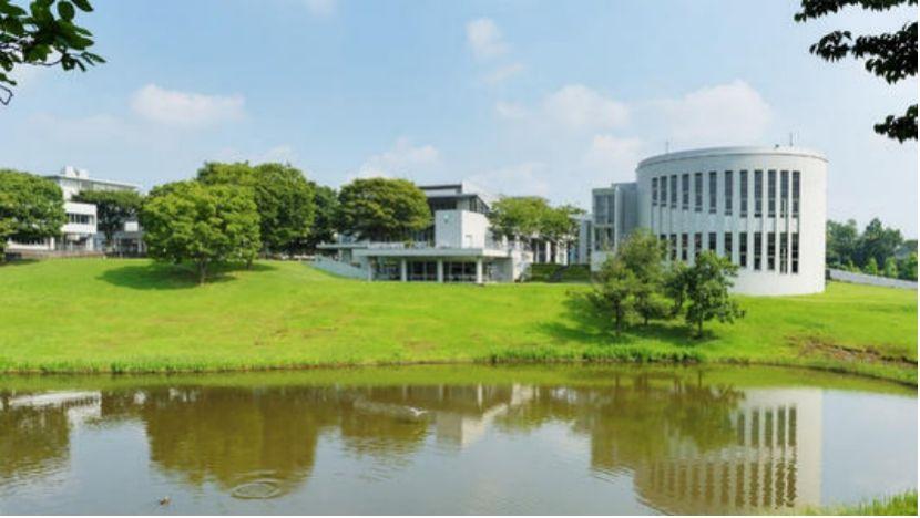 日本大学最新排名及指南概览