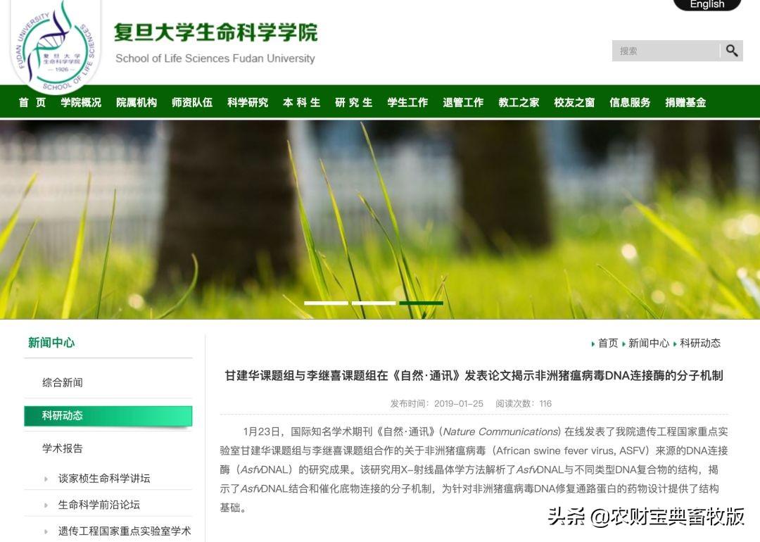 非洲猪瘟最新进展全球动态更新🌍📣