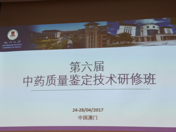 心灵与自然的奇妙交融，最新时评文赏析