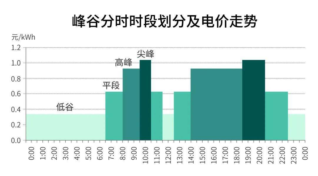 提前退休政策最新动态，调整分析与未来趋势探讨