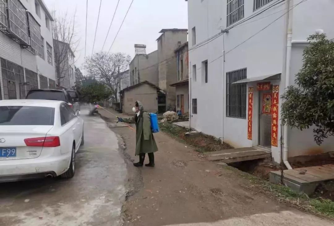 浙江省疫情最新动态与小巷深处的独特风情与美食秘境探索