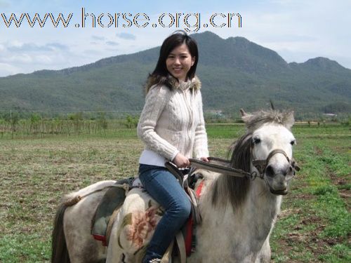 最新美女骑马，小巷深处的骑乘秘境探索
