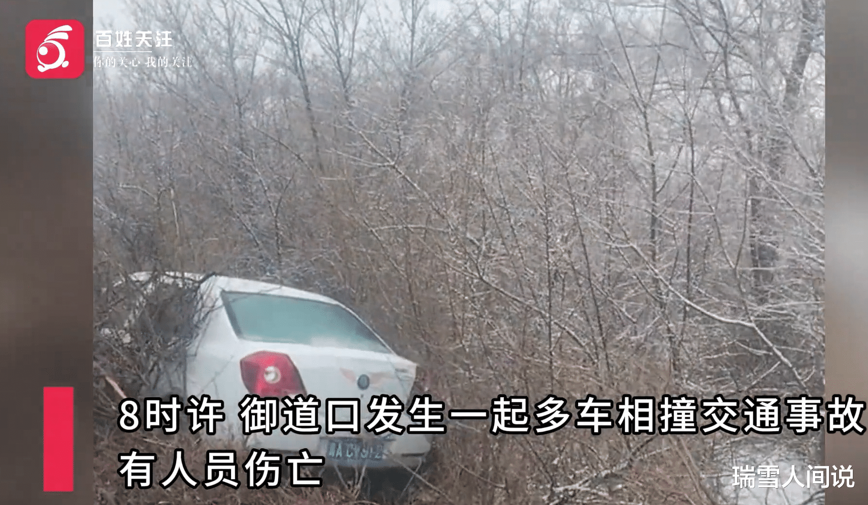 河北最新车祸背后的故事，自然美景之旅的启示与反思