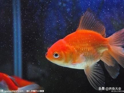 亚钾国际引领行业变革，探索前沿科技最新动态