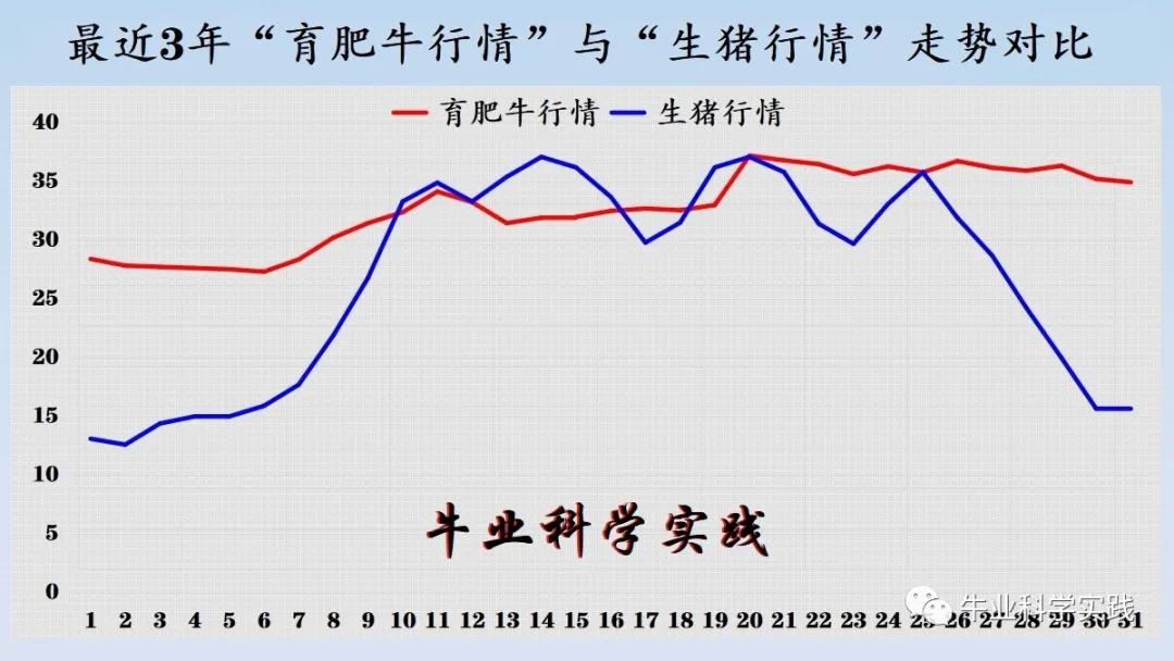 鸡肉价格最新行情全面解析，最新动态一网打尽！