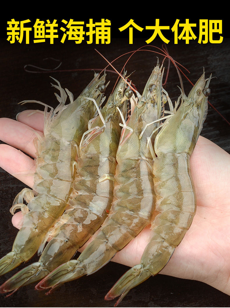活虾最新鲜保存方法，观点阐述与分析