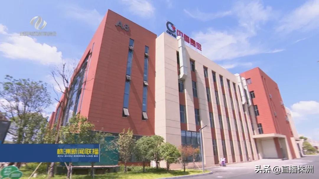 岱勒新材最新动态，心灵与自然的美妙交融之旅