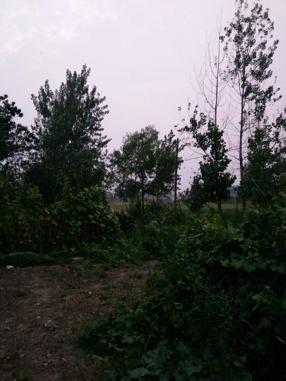 怀远天气预报最新15日预测与小巷深处的独特小店天气揭秘