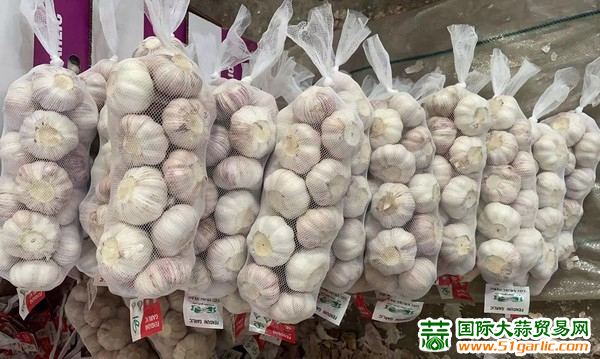 大蒜最新行情动态，市场走势与趋势分析📈🌱