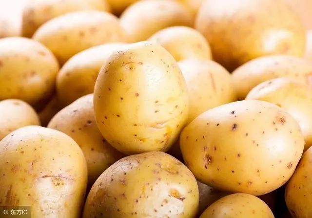 土豆价格最新行情动态更新