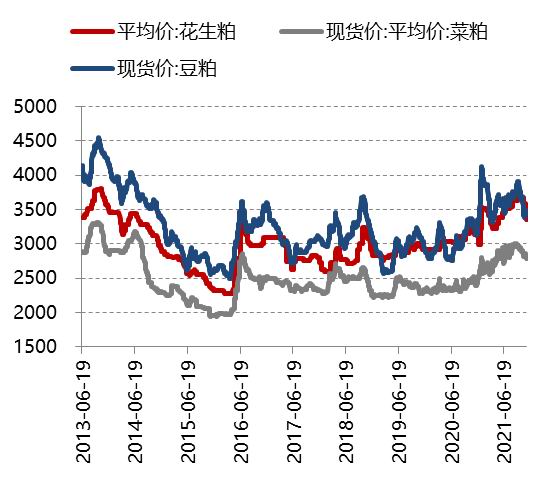 花生价格最新行情多元观点解析