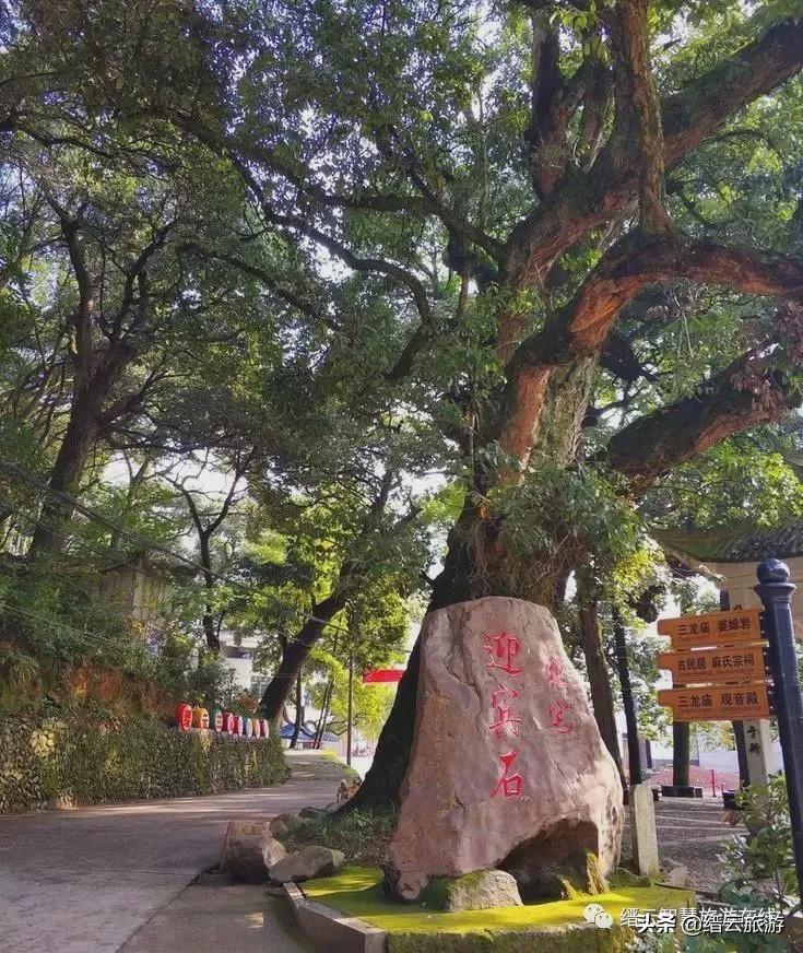 时代印记与文化回响，最新电影评分汇总
