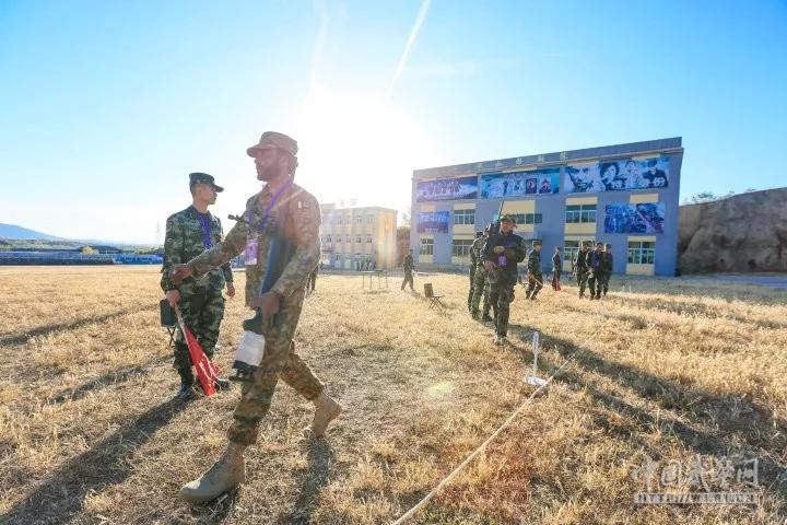 最新狙击电影，自然美景之旅，探寻内心平静与喜悦