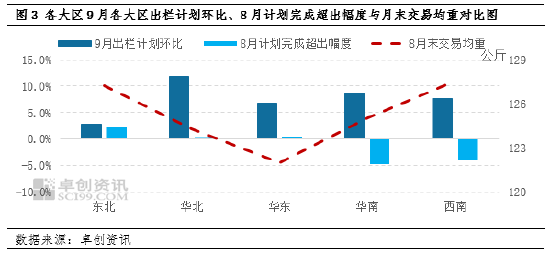 今日花生价格走势分析，市场最新报价与预测