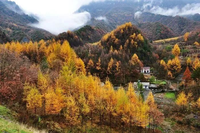 最新外汇行情下的自然美景探索之旅揭秘