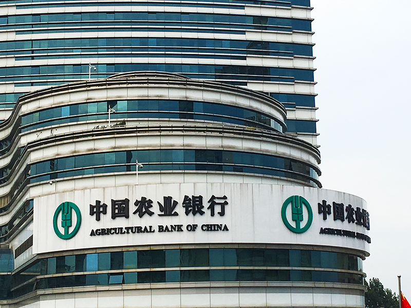 农业银行最新动态更新，最新消息汇总