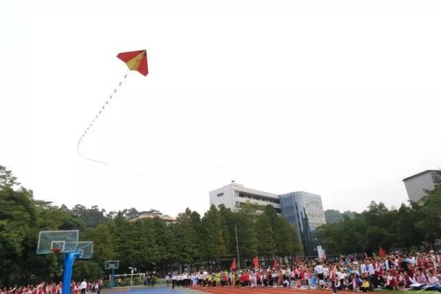空军最新蓝色款翱翔蓝天，自信成就梦想飞行之旅