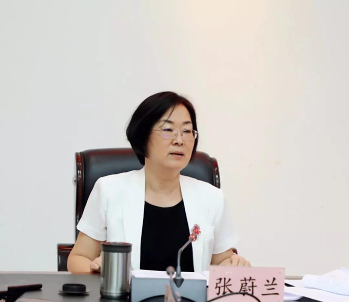 揭秘张蔚兰的新职务，新任领导的风采与担当