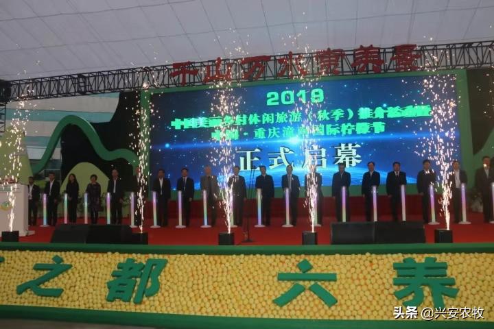 苹果市值最新动态，探索自然美景的旅程同步开启