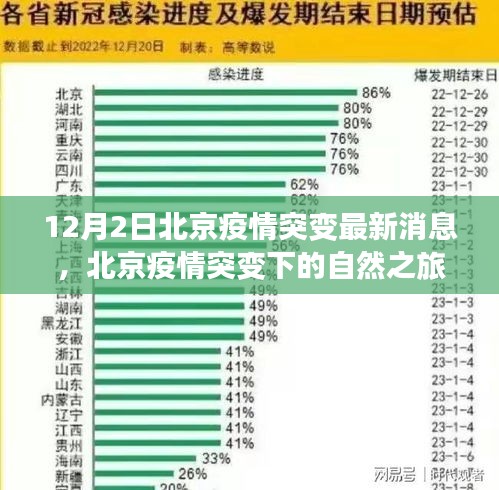 北京疫情下的自然探索，寻找内心的宁静与微笑的力量