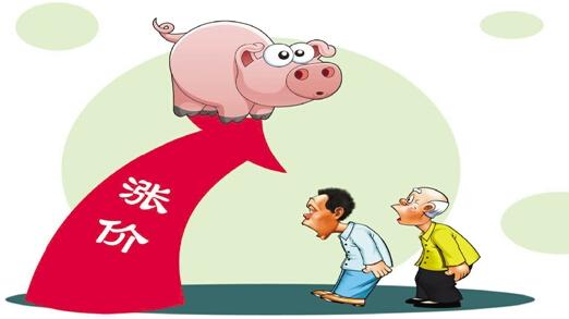 猪价最新行情与友情纽带的小故事，纽带紧系猪价变化与温馨时光