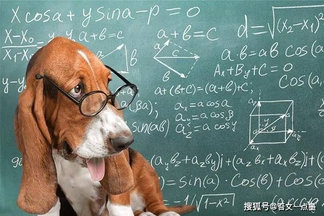 7777788888精准狗狗,科学分析严谨解释_数字版57.183