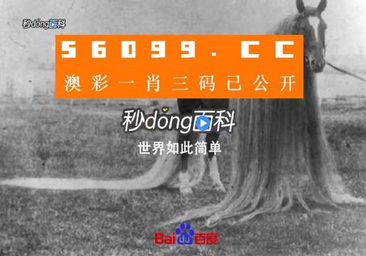 运输服务 第139页