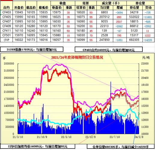 每日最新行情解析，洞悉市场趋势与机遇
