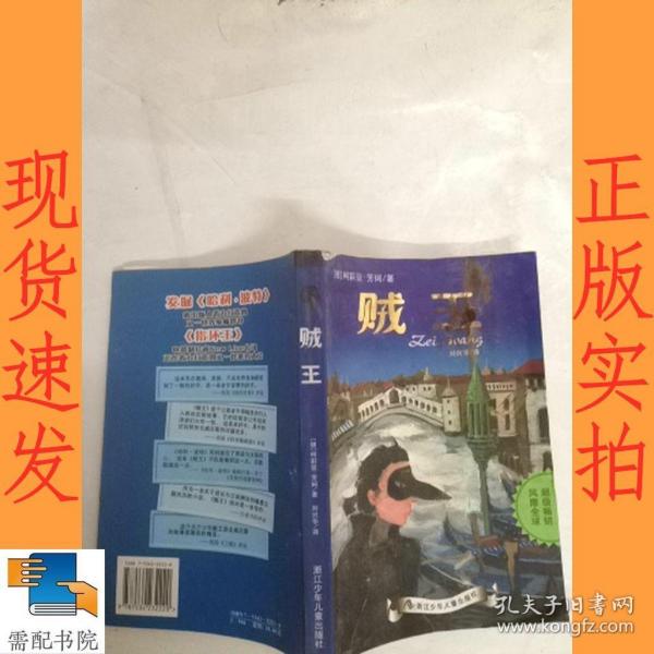 贼王最新版攻略指南，完成秘密任务的步骤与策略