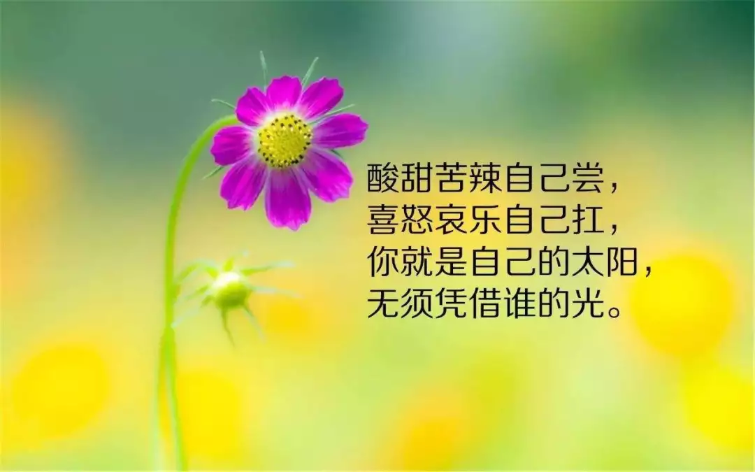 经典语录最新分享，最新语录经典语录汇总
