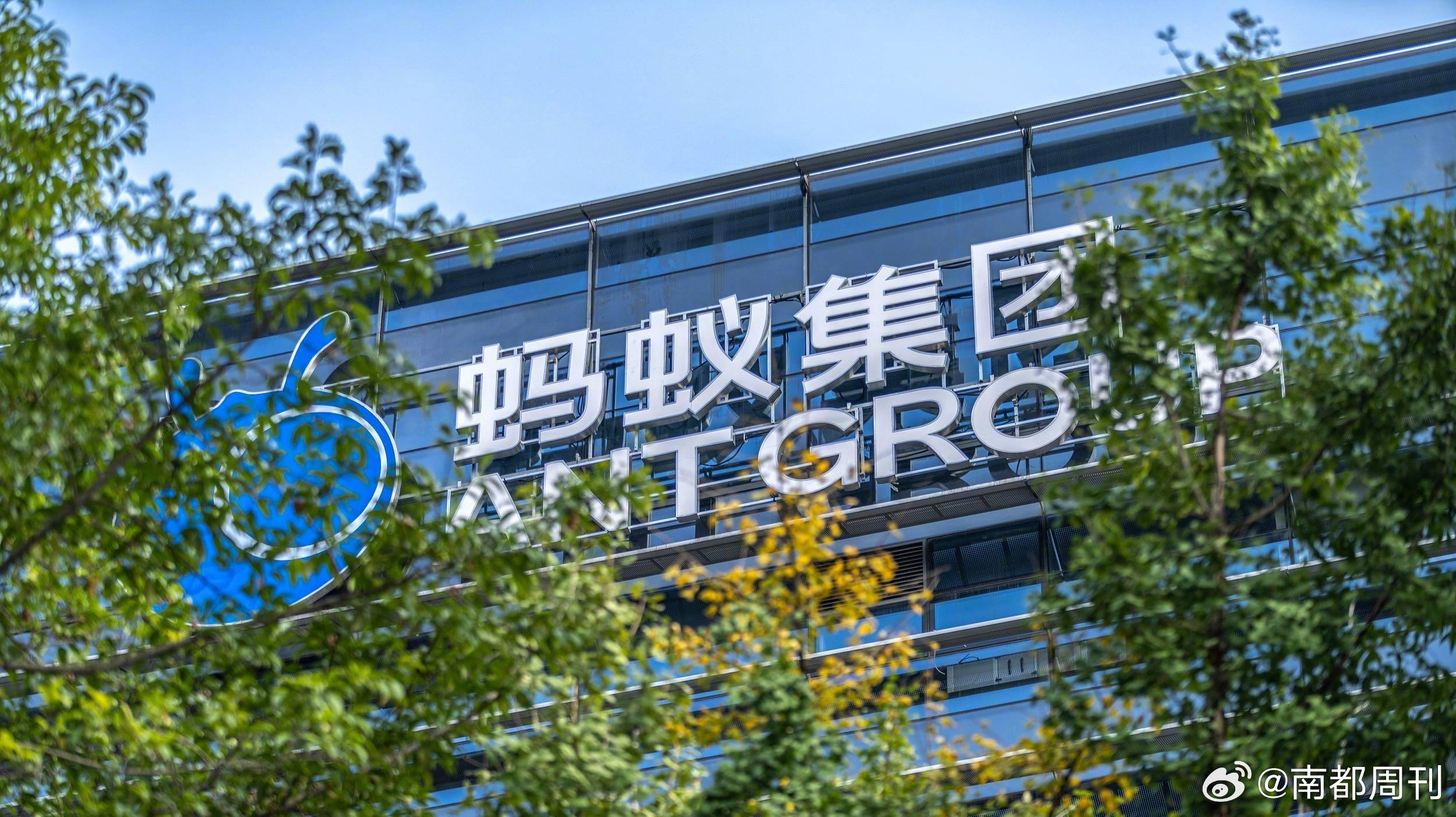 蚂蚁集团最新动态，小巷中的意外发现