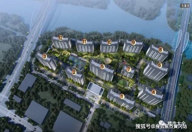 危秋洁最新情况分析，一种观点的阐述与探讨