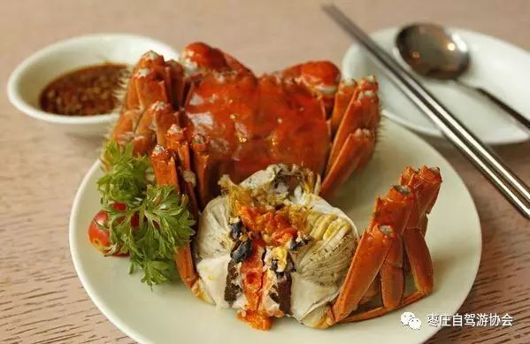 蟹总最新小说，巷弄深处的隐秘瑰宝