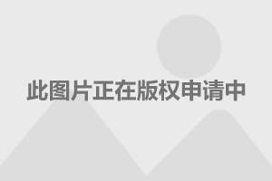 运输服务 第77页