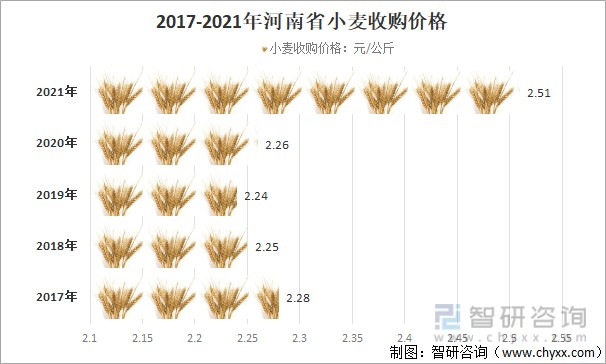 沧州小麦最新价格