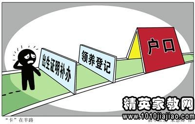 超生罚款最新政策解读，观点阐述与分析