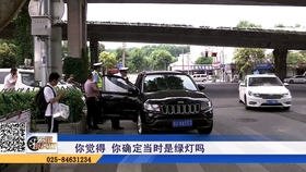 宏琪说交通最新版，自然美景的治愈之旅探索指南