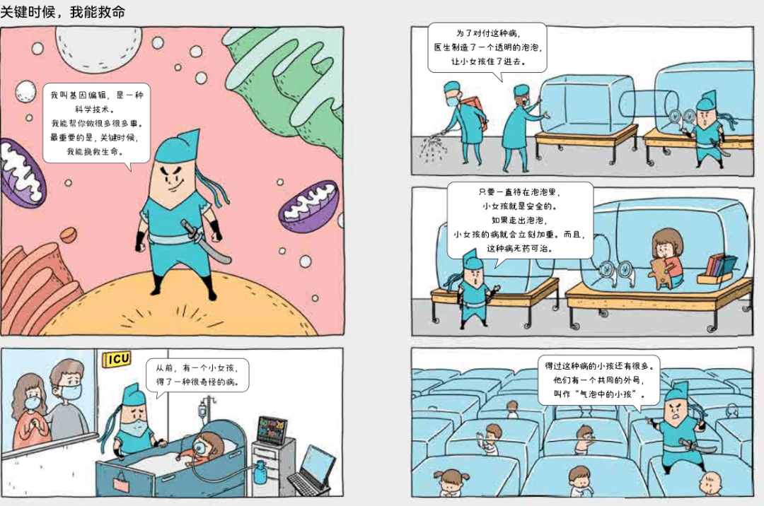 宝岛三轮最新款