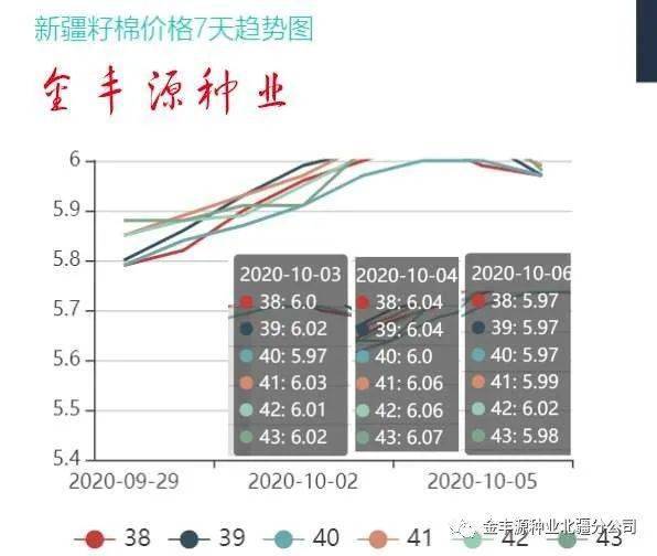 山东籽棉最新价格，科技重塑农业，籽棉的高科技之旅新探
