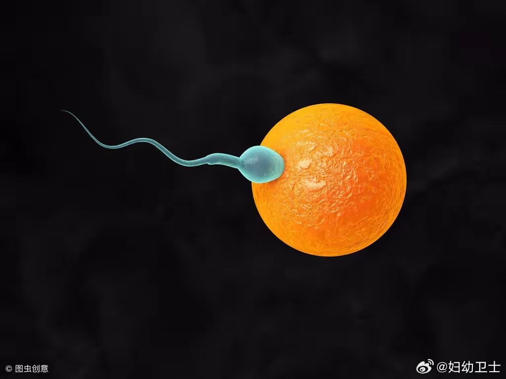 男性生育健康新时代，精子网最新资讯探索