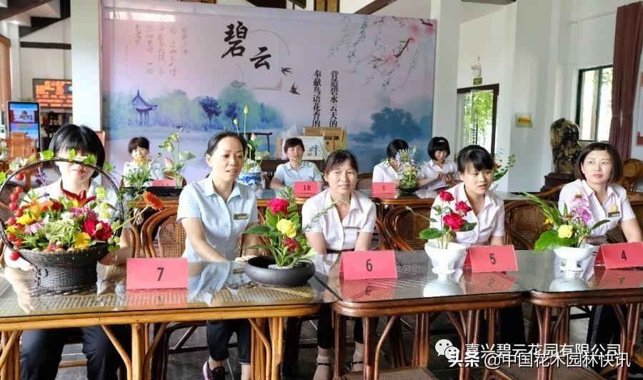 碧云最新任务指南，完成某项任务或学习某种技能的详细步骤手册