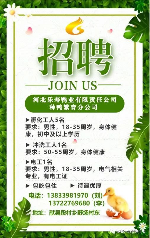 商品车运输 第13页