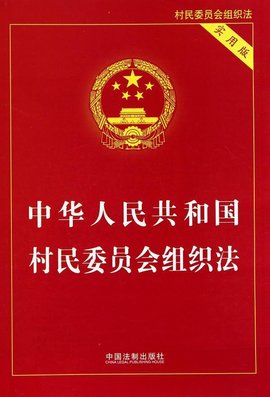 村民组织法最新版下的独特小巷美食之旅探索