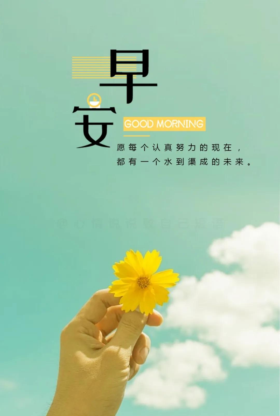 最新正能量，阳光下的温馨日常启航