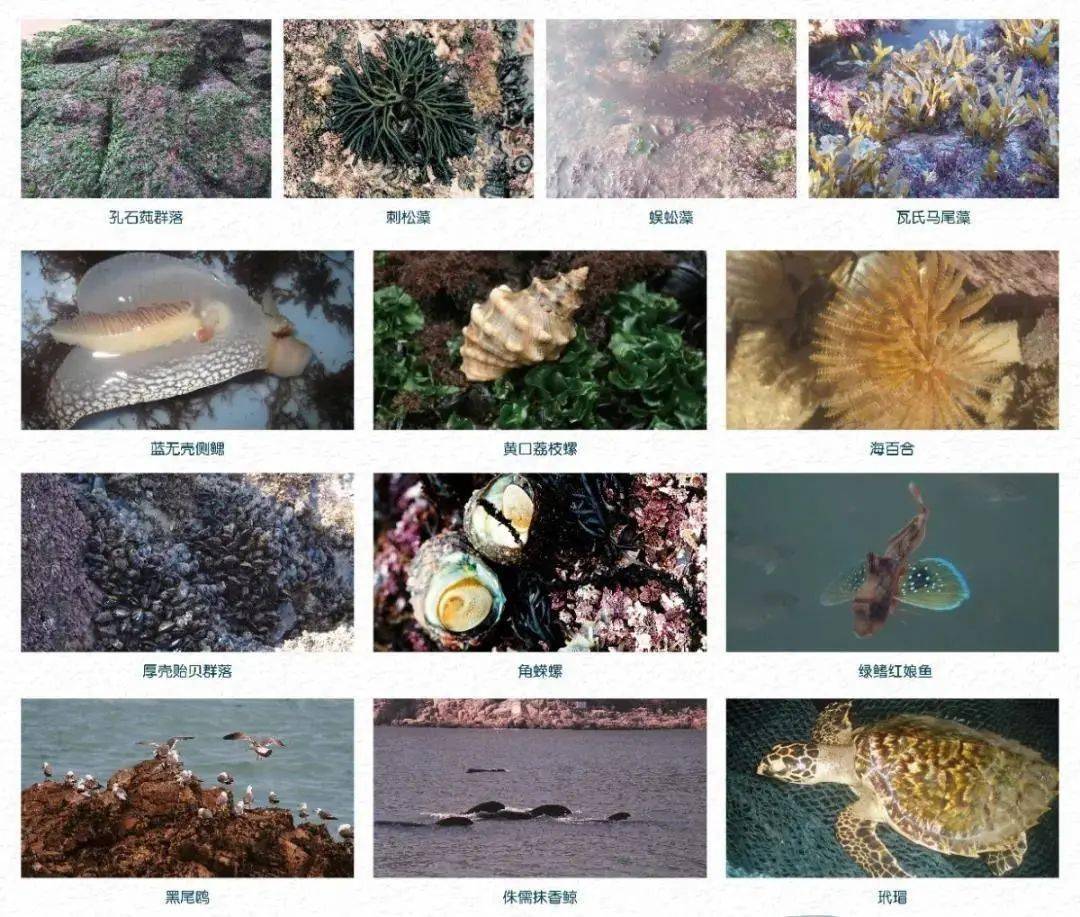 广州疫情最新数据，科技助力守护健康新生活