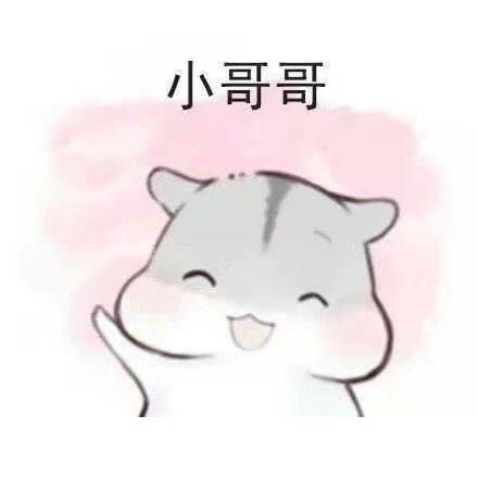 青岛金日达 第22页